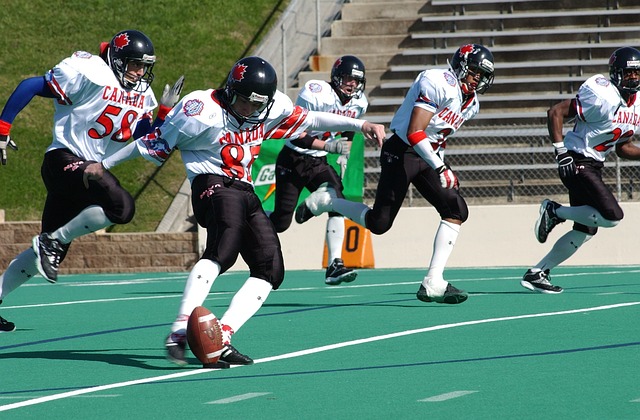 洛伐克的对 洛伐克的对