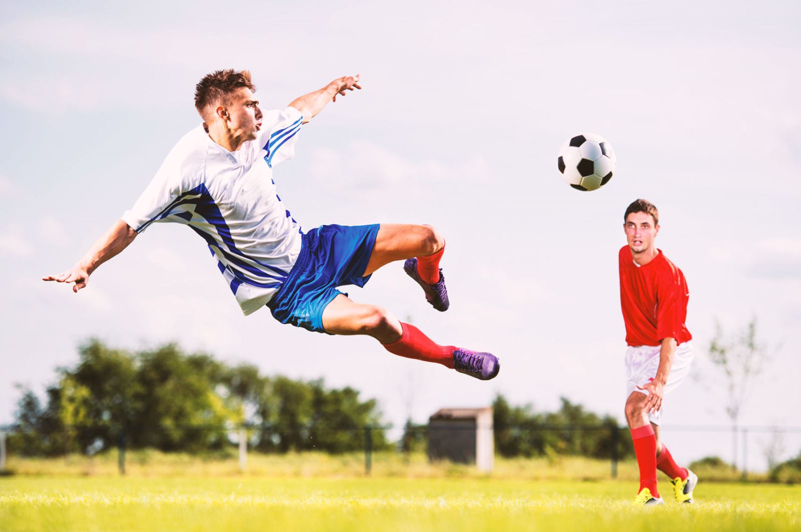 养体系和独 养体系和独