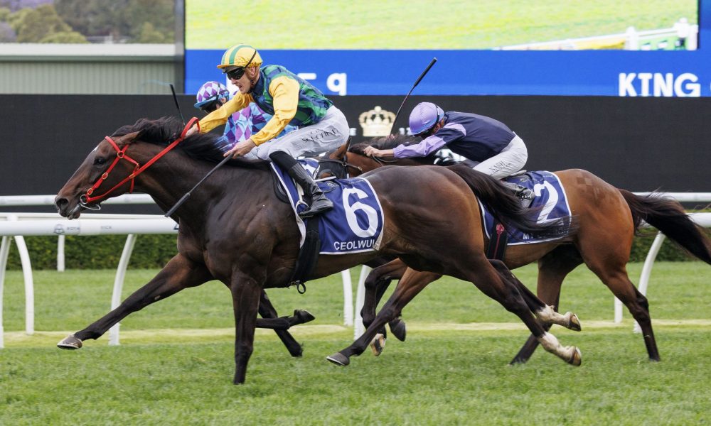 像他这样级 像他这样级